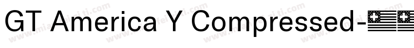 GT America Y Compressed字体转换